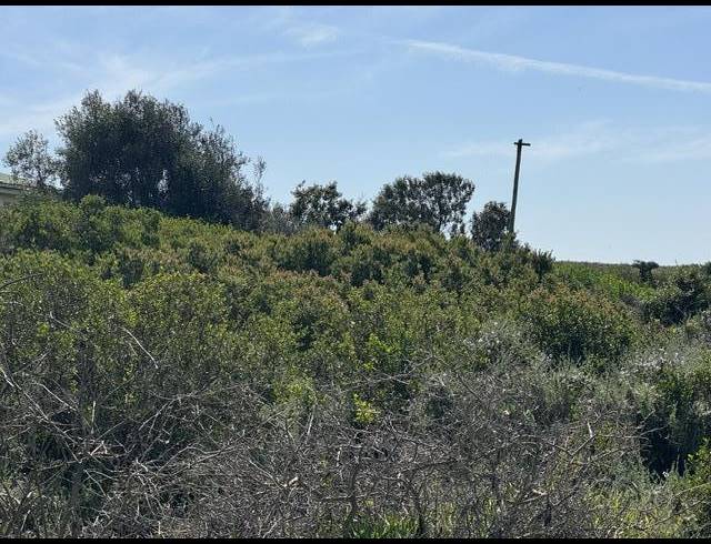 592M² VACANT LAND FOR SALE IN BOGGOMSBAAI